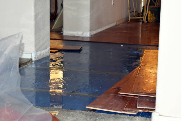 Professional Burst Pipe Water Damage technician working in Lawrence, KS